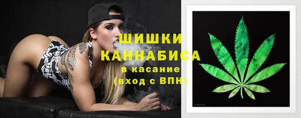 трава Верея