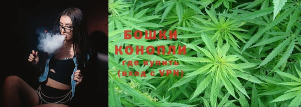 трава Верея